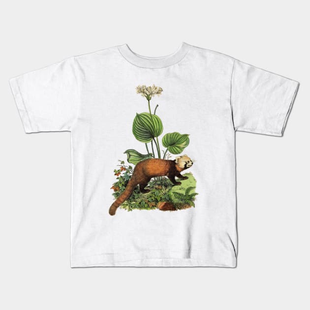 RED PANDA Illustration Kids T-Shirt by Biophilia